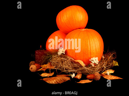 Décoration d'Halloween avec des citrouilles isolé sur black Banque D'Images