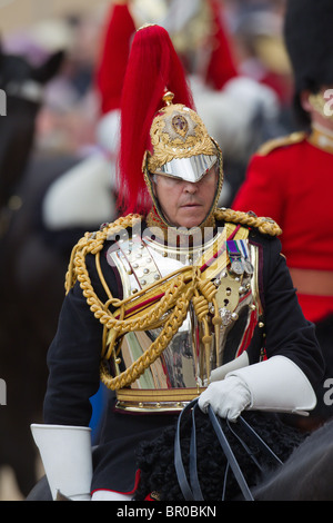 Le Lieutenant-colonel J S Olivier l'inspection de la ligne. 'La couleur' 2010 Parade Banque D'Images