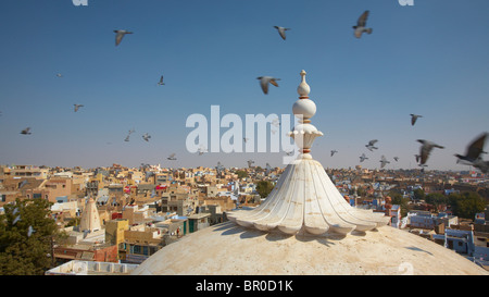 Les pigeons s'assemblant à Bhanda Shah Jain temple dans Bikaner Banque D'Images