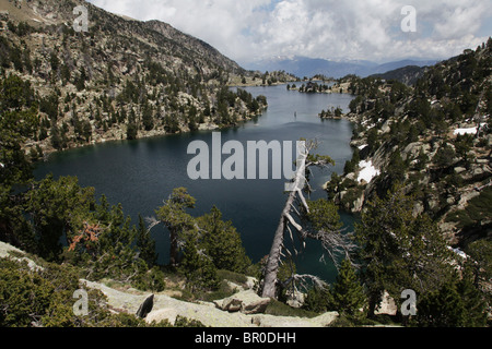 Le cirque classique barrage alpin à l'Estany tort de Peguera 2318m près de Refugi JM Blanc dans le Parc National de Sant Maurici Pyrénées Espagne Banque D'Images