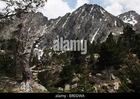 2740M Pic de Sudorn dans le Parc National de Sant Maurici vu de l'Estany Negre Refugi JM Blanc en Pyrénées Espagne Banque D'Images