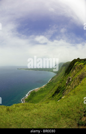 Une vue panoramique sur le plus haut du monde de falaises au-dessus de la péninsule de Kalaupapa sur Molokai, Hawaï (infrarouge). Banque D'Images