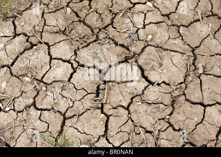 Cracked earth après une longue période de sécheresse en UK Banque D'Images