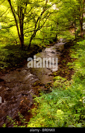 Chee Dale Derbyshire, Angleterre, Royaume-Uni Banque D'Images