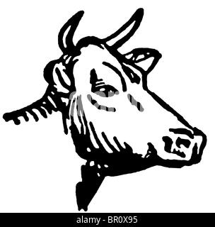 Une version noir et blanc d'un portrait d'un taureau Banque D'Images