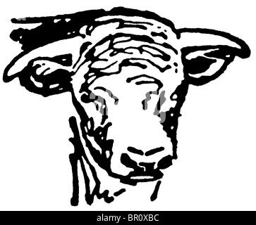 Une version noir et blanc d'un portrait d'un de bull Banque D'Images