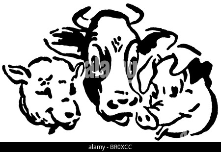 Une version noir et blanc d'un portrait d'une vache Banque D'Images