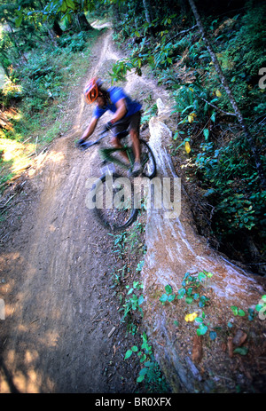 Un vélo de montagne rider saute un bois rouge journal dans un forêt de Californie du Nord. Banque D'Images