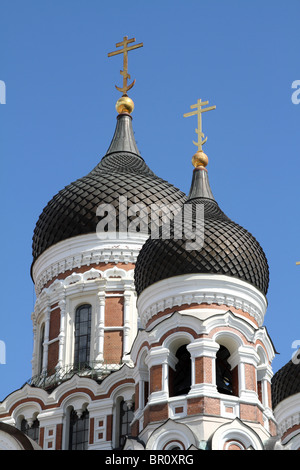 Dômes de la cathédrale Alexandre Nevsky à Tallinn, Estonie Banque D'Images