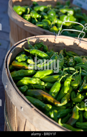 Le chili vert fraîchement cueillies le matin radieux soleil dans les paniers, le marché fermier de Santa Fe, Nouveau Mexique Banque D'Images