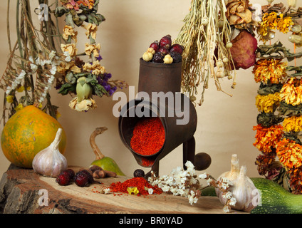 La nature morte culinaire avec handmill, d'épices et des rameaux de fleurs sèches Banque D'Images