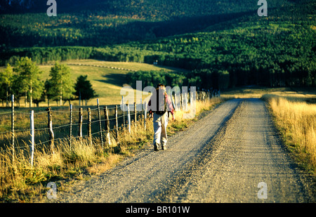 Woman hiking on country road, Telluride, Colorado. Banque D'Images