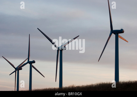 Les moulins à vent utilisés pour produire de l'énergie électrique à Cowley Ridge dans le sud de l'Alberta, Canada. (Silhouette) Banque D'Images