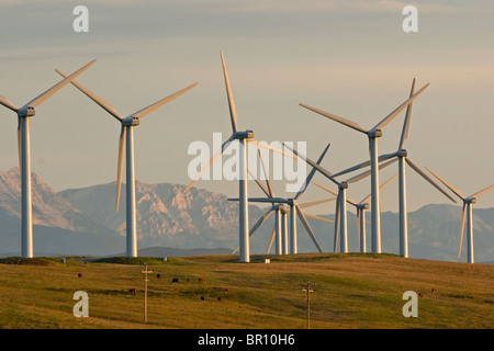 Les moulins à vent utilisés pour produire de l'énergie électrique à Cowley Ridge dans le sud de l'Alberta, Canada. Banque D'Images