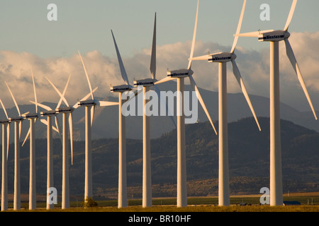 Les moulins à vent utilisés pour produire de l'énergie à l'aube, près de Pincher Creek, en Alberta, Canada. Banque D'Images