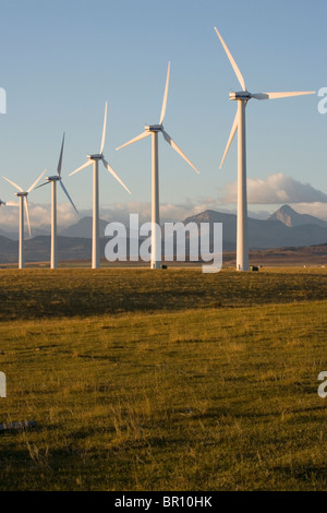 Les moulins à vent utilisés pour produire de l'énergie à l'aube, près de Pincher Creek, en Alberta, Canada. Banque D'Images