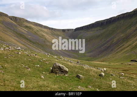 Le cours supérieur de la vallée glaciaire de la haute Tasse Nick Pennines Cumbria UK Banque D'Images