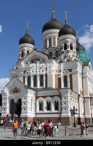 Dômes de la cathédrale Alexandre Nevsky à Tallinn, Estonie Banque D'Images