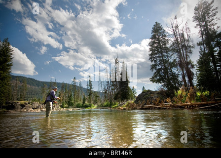 Fly-pêcheur jette les flux sur Cache Creek River in Yellowstone National Park, Wyoming. Banque D'Images