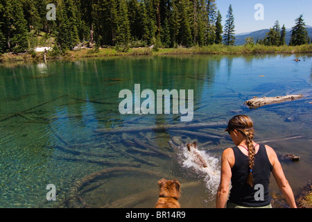 Un chien saute dans un lac pour chasser un bâton comme une femme regarde dans la Sierra montagnes de la Californie. Banque D'Images