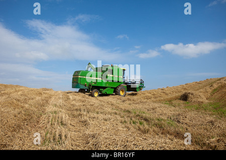 Orge récolté, récolte de blé, récolte, agriculture, champ, céréales, ferme, agriculture rurale, céréales, aliments. Moissonneuse-batteuse, Écosse, Royaume-Uni Banque D'Images