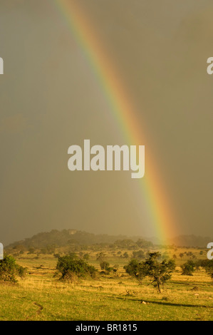 Arc-en-ciel, le Parc National du Serengeti, Tanzanie Banque D'Images
