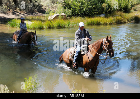 Flyspur visiteurs ranch de l'équitation à travers la forêt et ruisseau près de Bend, Oregon au cours de la pêche à la mouche et de l'équitation Banque D'Images