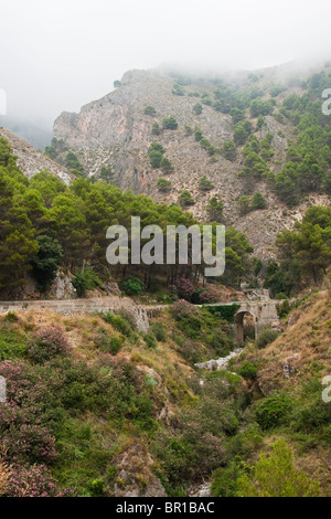 Parc national espagnol dans la province de Malaga Espagne Banque D'Images