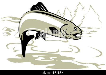 Illustration d'un style rétro brun moucheté tacheté poissons truite arc-en-sautant sur fond blanc isolé au paysage. Banque D'Images