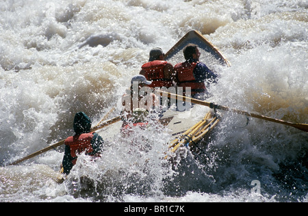 En bois d'une exécution rapide des chutes de lave dory, le Parc National du Grand Canyon, Arizona. Banque D'Images