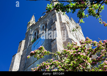 Église Saint-Mildred (détail de la tour), Tenterden, Kent, Angleterre, Royaume-Uni Banque D'Images