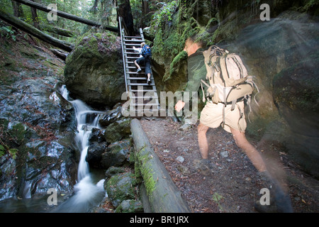 Deux randonneurs font leur chemin jusqu'à la Ravine abrupte sur une piste humide, jour d'automne, le Mont Tamalpais State Park, Californie. Banque D'Images