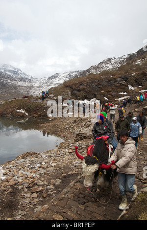 Les enfants équitation un yak sur le lac tsomgo Banque D'Images