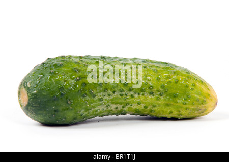 Concombre vert isolé sur fond blanc