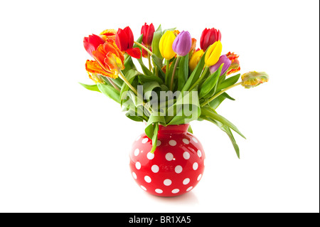 Bouquet de tulipes colorées en rouge vase Banque D'Images