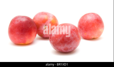 La lumière rouge mûre ; quatre grosses prunes fruits ; isolé sur fond blanc Banque D'Images