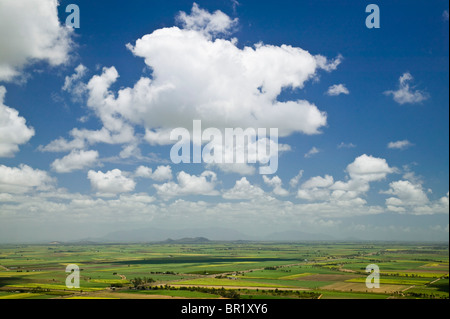 L'Australie, Queensland, Côte Nord, Inkerman. Les plaines côtières de Mt. Inkerman. Banque D'Images