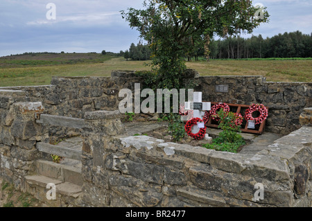 La Tombe de l'aviateur, la Forêt d'Ashdown, Sussex, Angleterre Banque D'Images