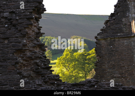 Vue sur les arbres et les collines ensoleillées derrière Llanthony Priory dans la Montagne Noire, Pays de Galles Banque D'Images