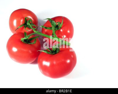Organique mûres tomates rouge brillant sur un fond lumineux. Banque D'Images