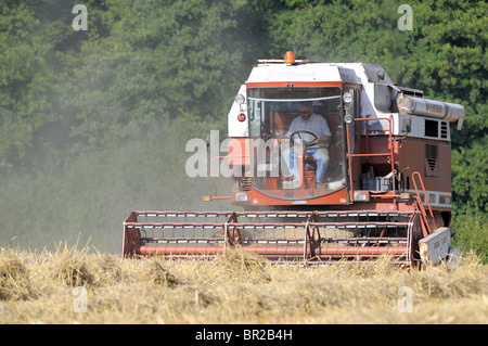 Coupe combinée harvester blé, maïs en Kyre, Worcestershire. Banque D'Images