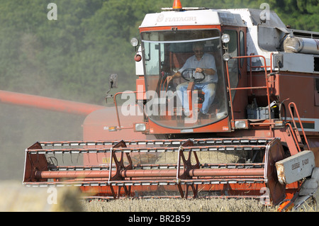 Coupe combinée harvester blé, maïs en Kyre, Worcestershire. Banque D'Images