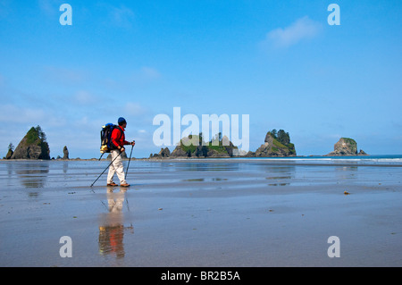 Hiker with backpack sur Shi Shi Beach au point d'Arches, Olympic National Park, Washington. Banque D'Images