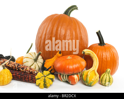 Citrouilles et courges still life isolé sur fond blanc Banque D'Images