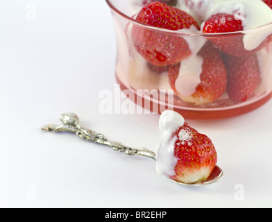 Close up d'une fraise sur une cuillère en face d'un bol en verre de fraises, saupoudré de sucre et le yaourt. fond blanc Banque D'Images