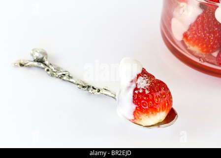 Close up d'une fraise sur une cuillère, saupoudré de sucre et le yaourt sur le dessus. fond blanc. Banque D'Images