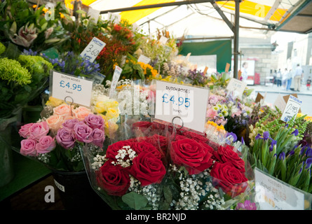 Dutch roses pour vendre à un fleuriste stand, Cambridge, Cambridge UK marché Banque D'Images