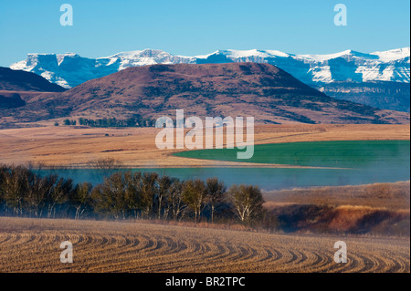 Les terres agricoles en Bergville au pied de la montagne du Drakensberg, Afrique du Sud Banque D'Images