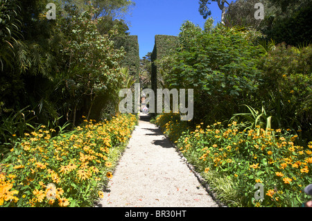 Abbey Gardens, Tropical, Îles Scilly Tresco Banque D'Images