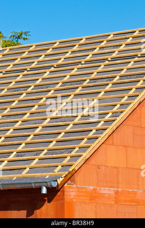 Bungalow nouvelle toiture bois montrant la construction bois charpente pin - Indre-et-Loire, France. Banque D'Images